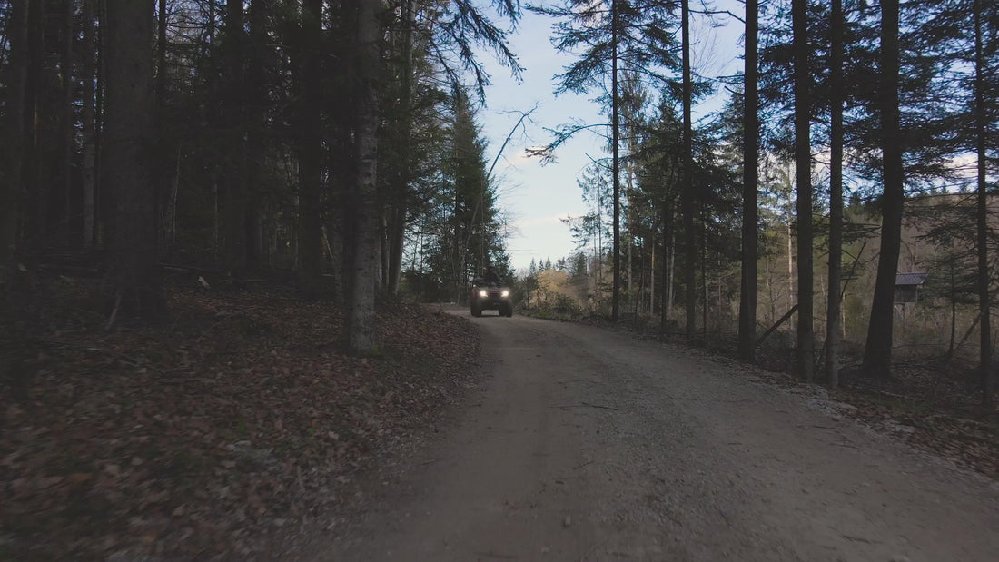 Load video: Ignite theme